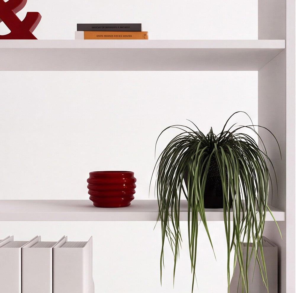 Libreria Miraflor con 2 ante – Bianco – immagine 4